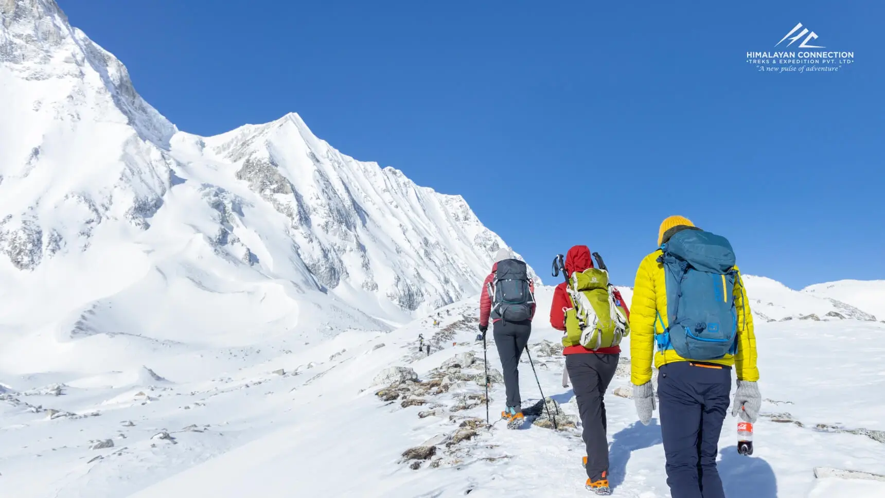 manaslu circuit trek height